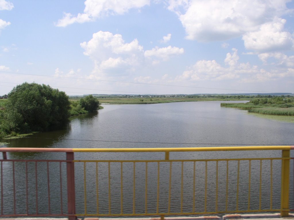 Проня