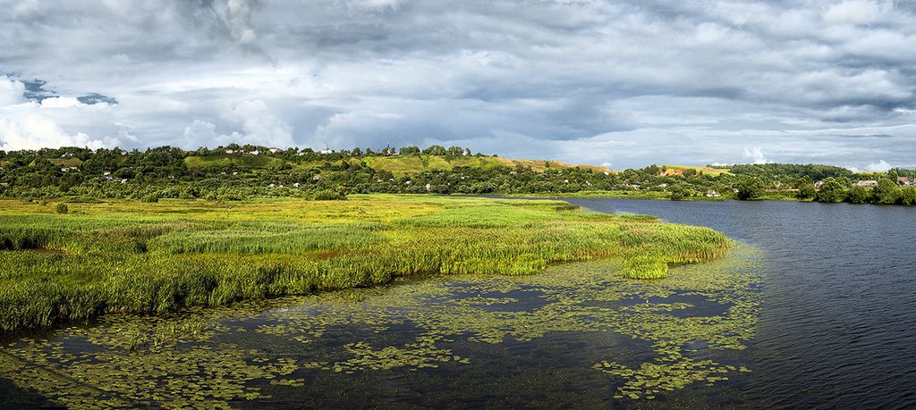 Novomichurinsk
