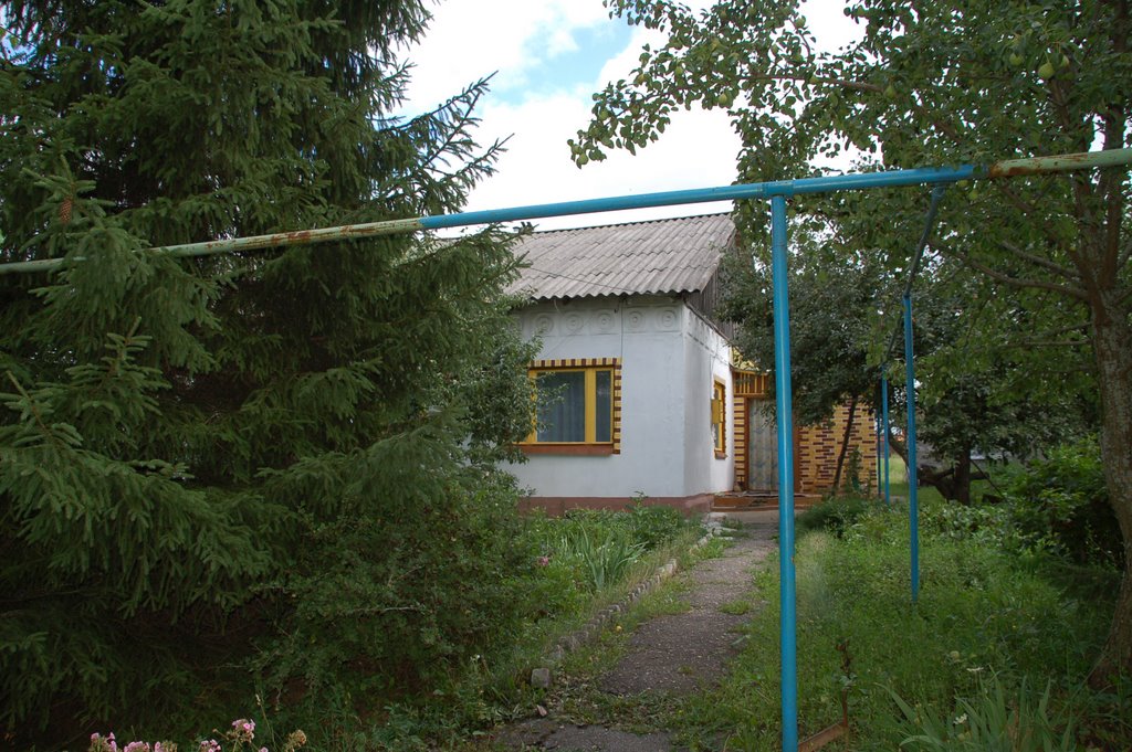Новая 68