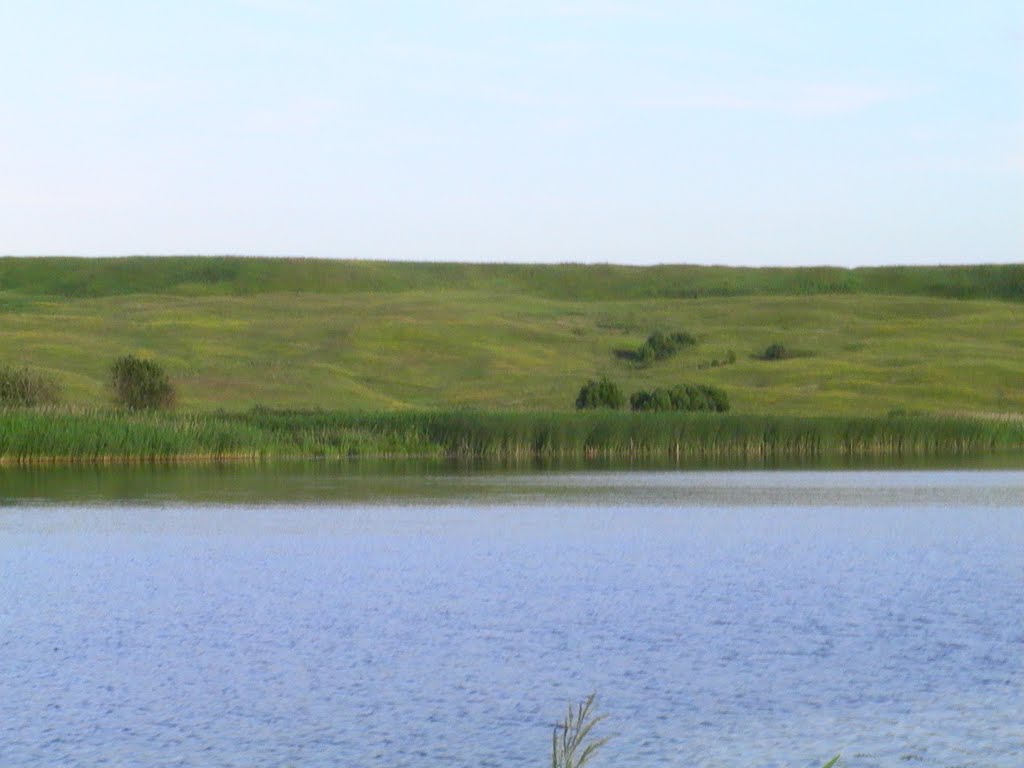 Река Проня