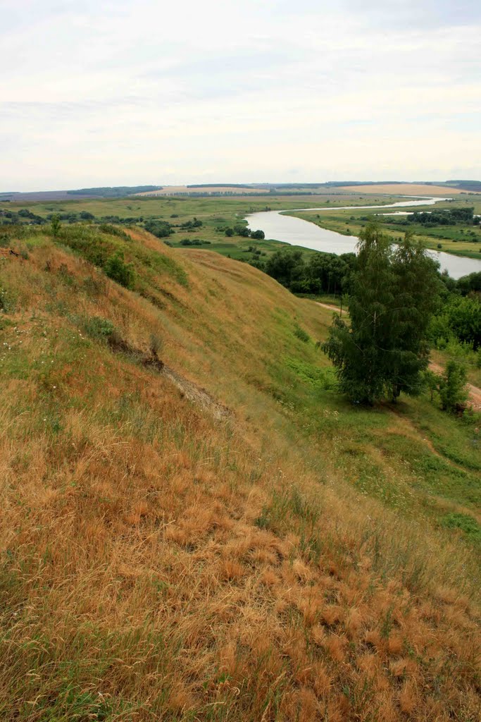 Петля Прони