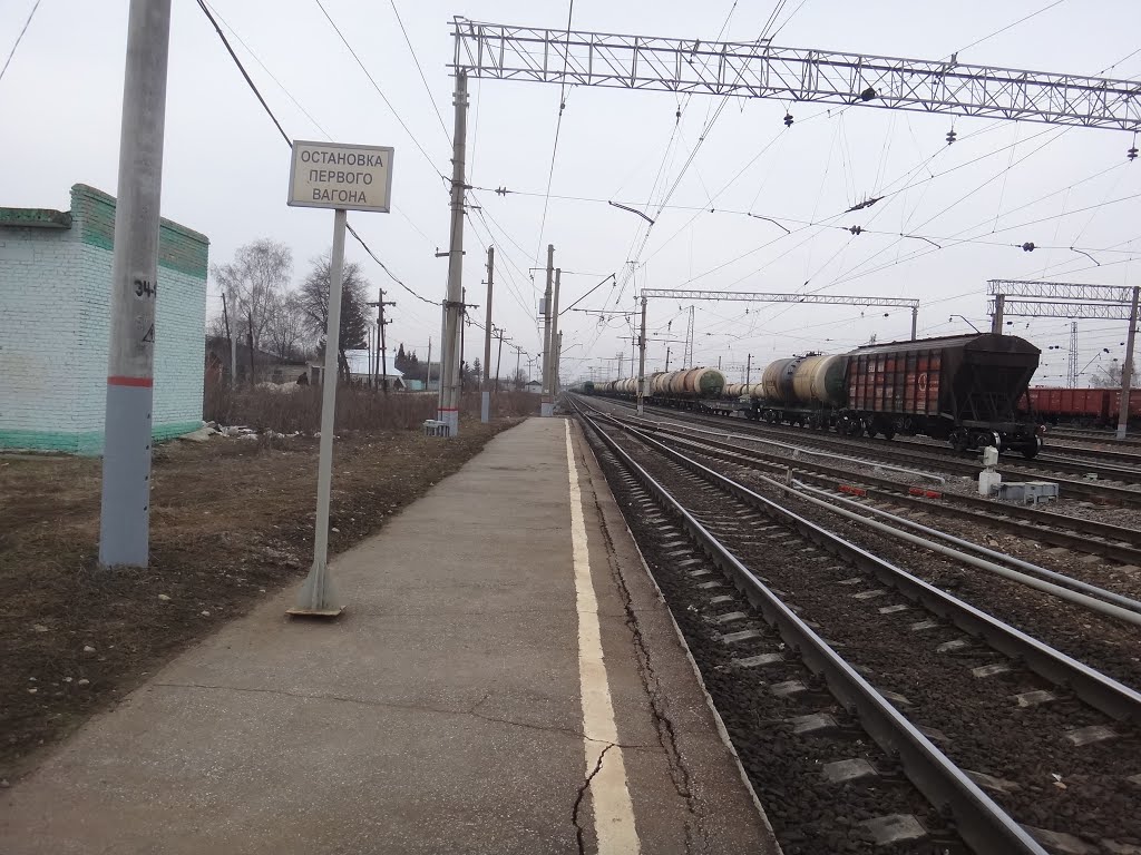Станция Рыбное, Вид в сторону ст. Дивово