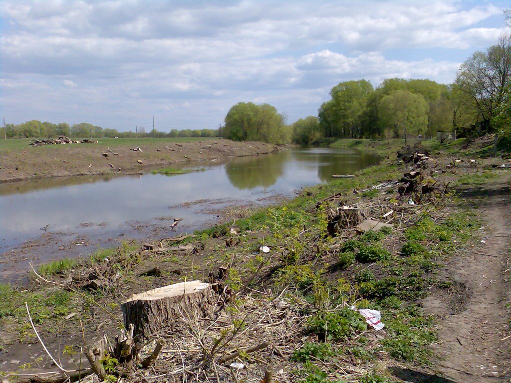 р.Вожа, весна 2008