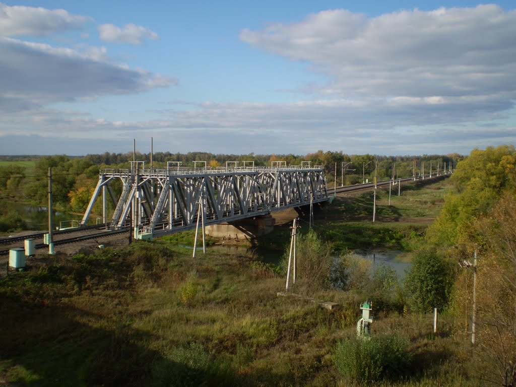 Мост р.Вожа