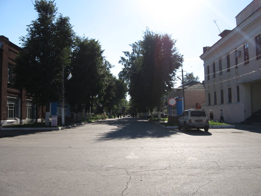 Ряжск, дорога в парк