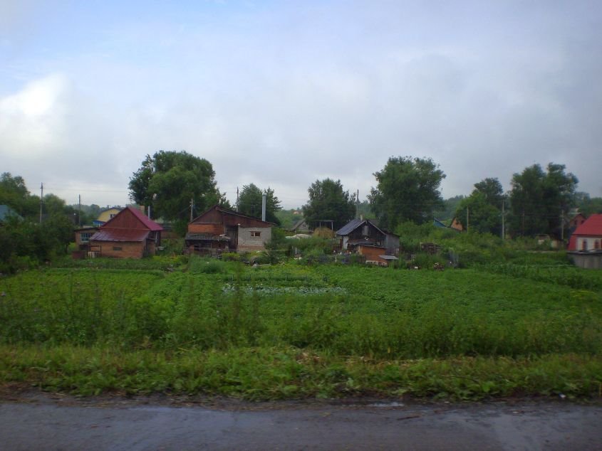 Ряжские виды