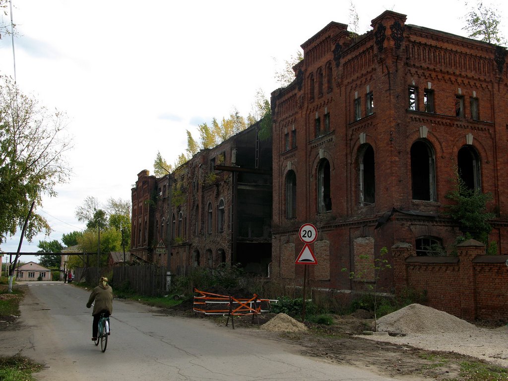 руины