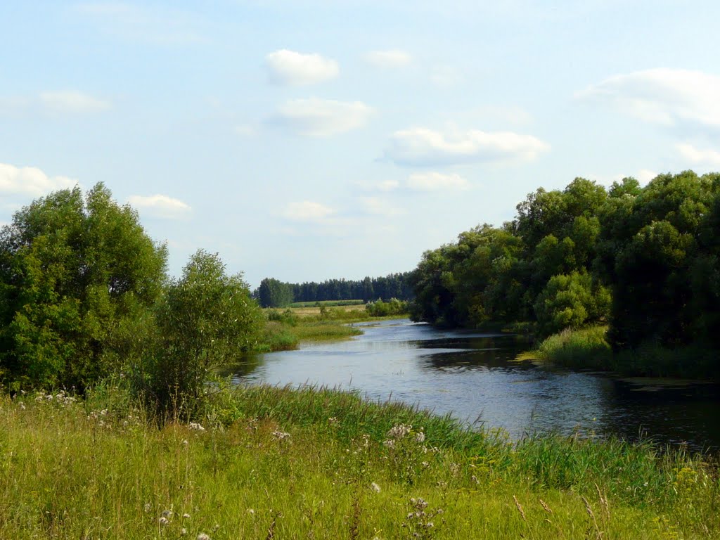 Колчевник