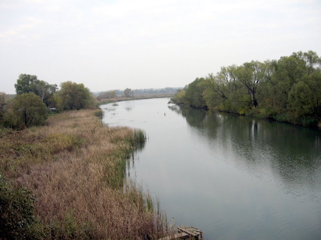 Р. Хупта