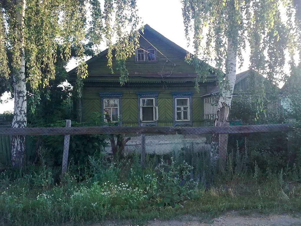 дом дьяковых