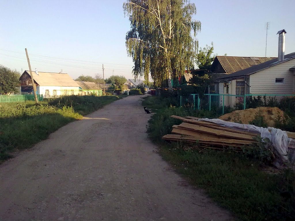 улица ленина