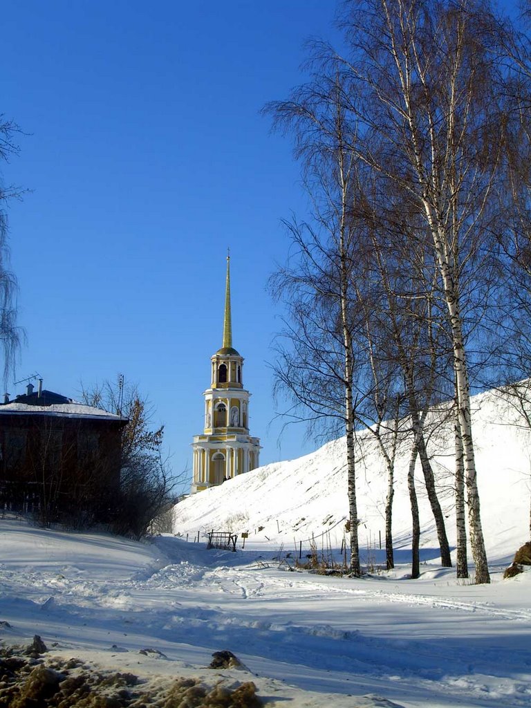 Кремль Рязань февраль 2007