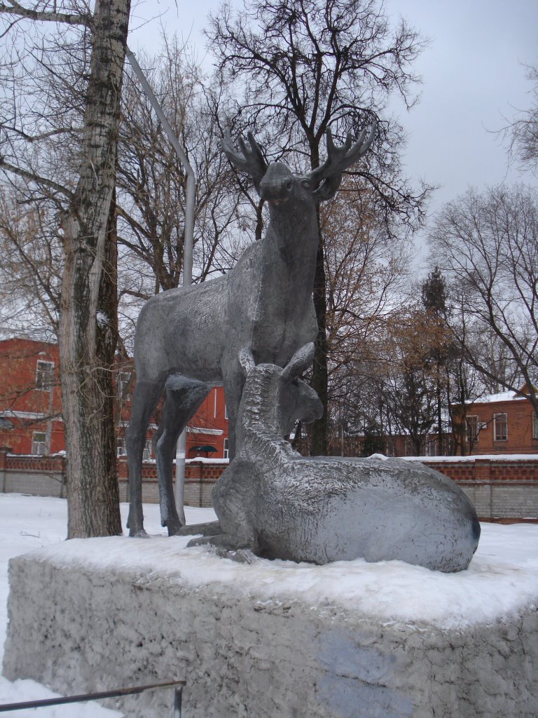 Лоси в ЦПКиО