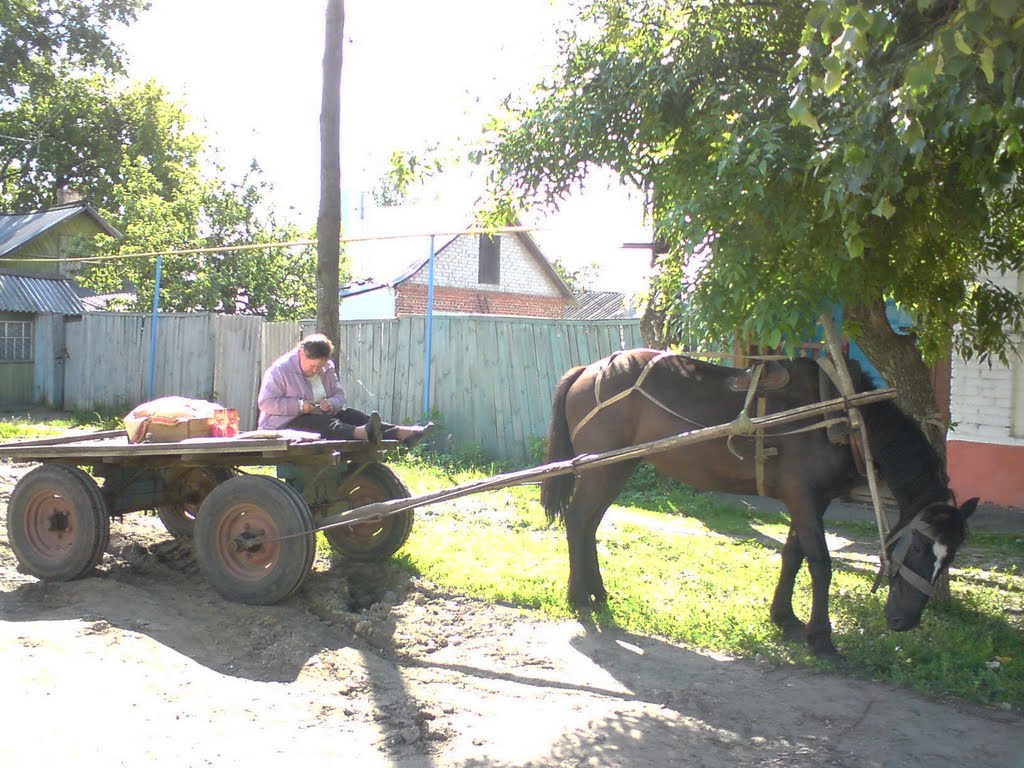 В карете прошлого. У магазина "Сорокин". 2009г.
