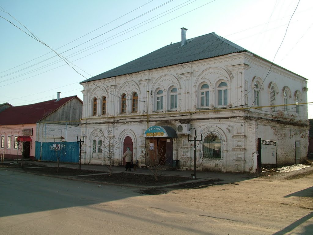 В Сапожке. Весна 2010г.