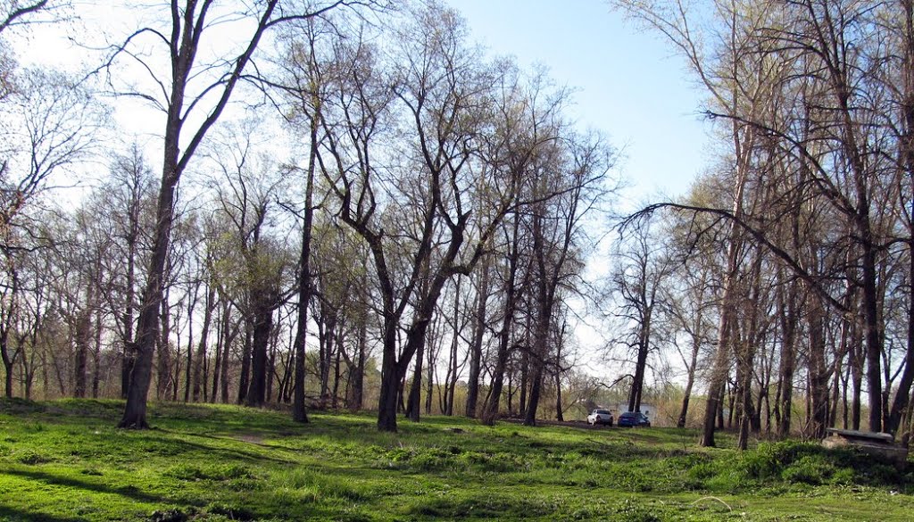 it was a park sometime ago