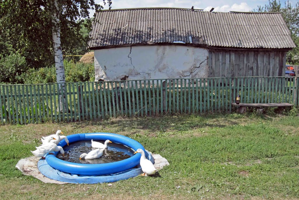BY THE POOL - бассейн