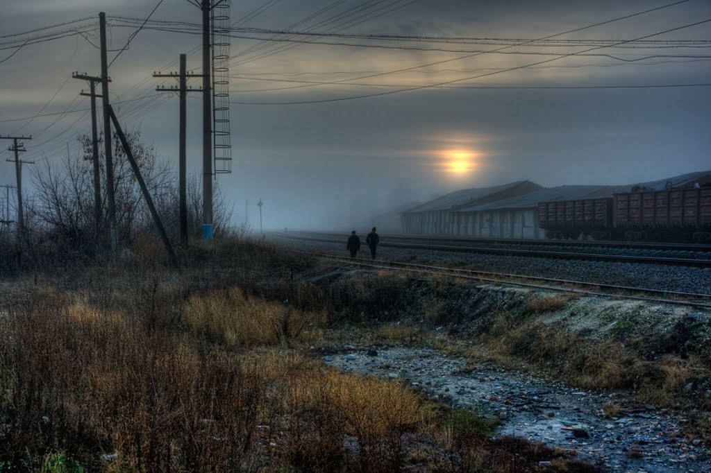 The New Day
