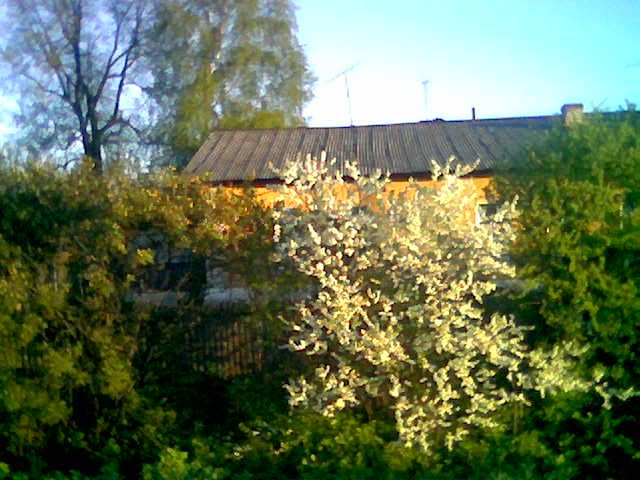 Сасово, дом по ул. Вокзальная