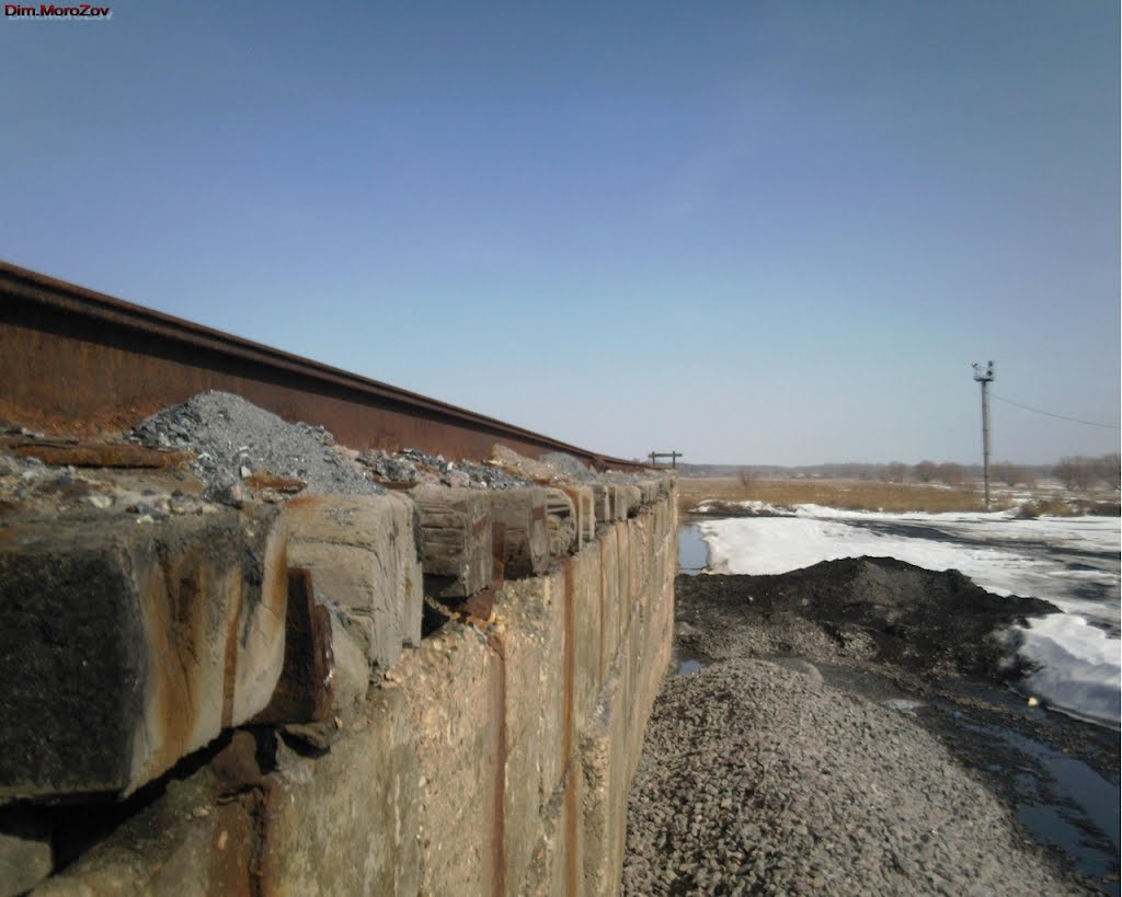 Sasovo. Railway dead-end for coal unloading  Железнодорожный тупик для разгрузки угля
