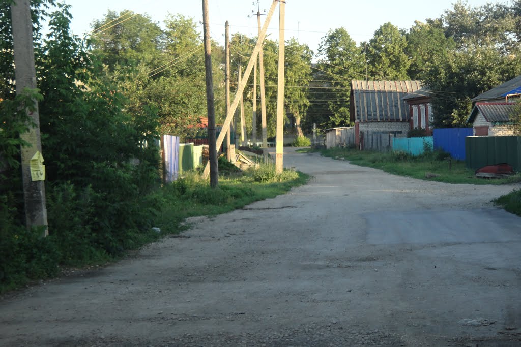 За деревьями школа 106