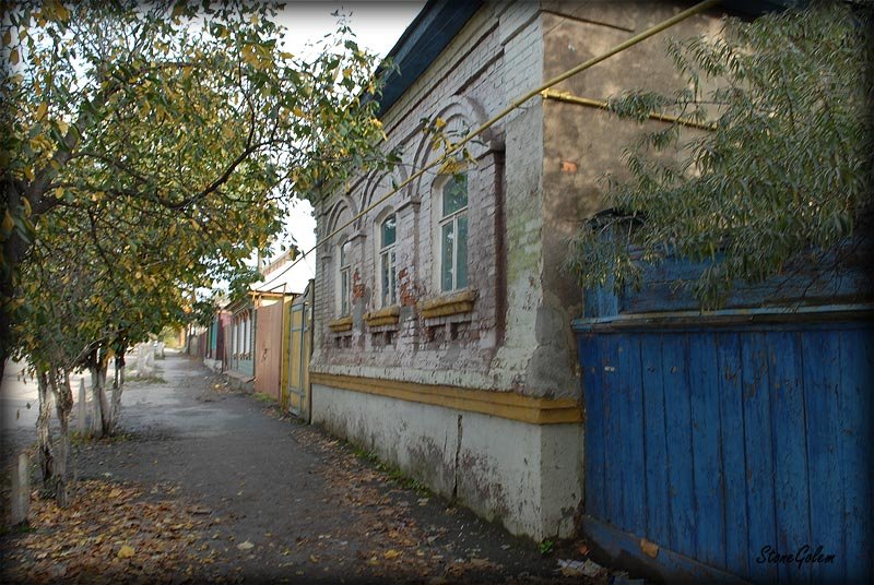 Скопин, дом на ул.Ленина