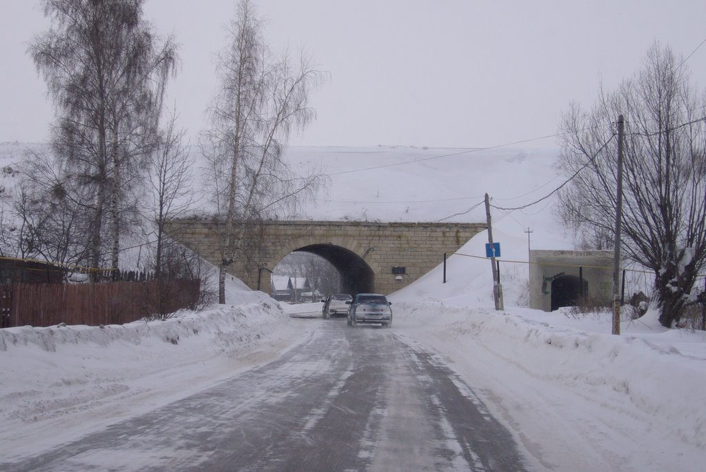 Скопин. Тоннель.