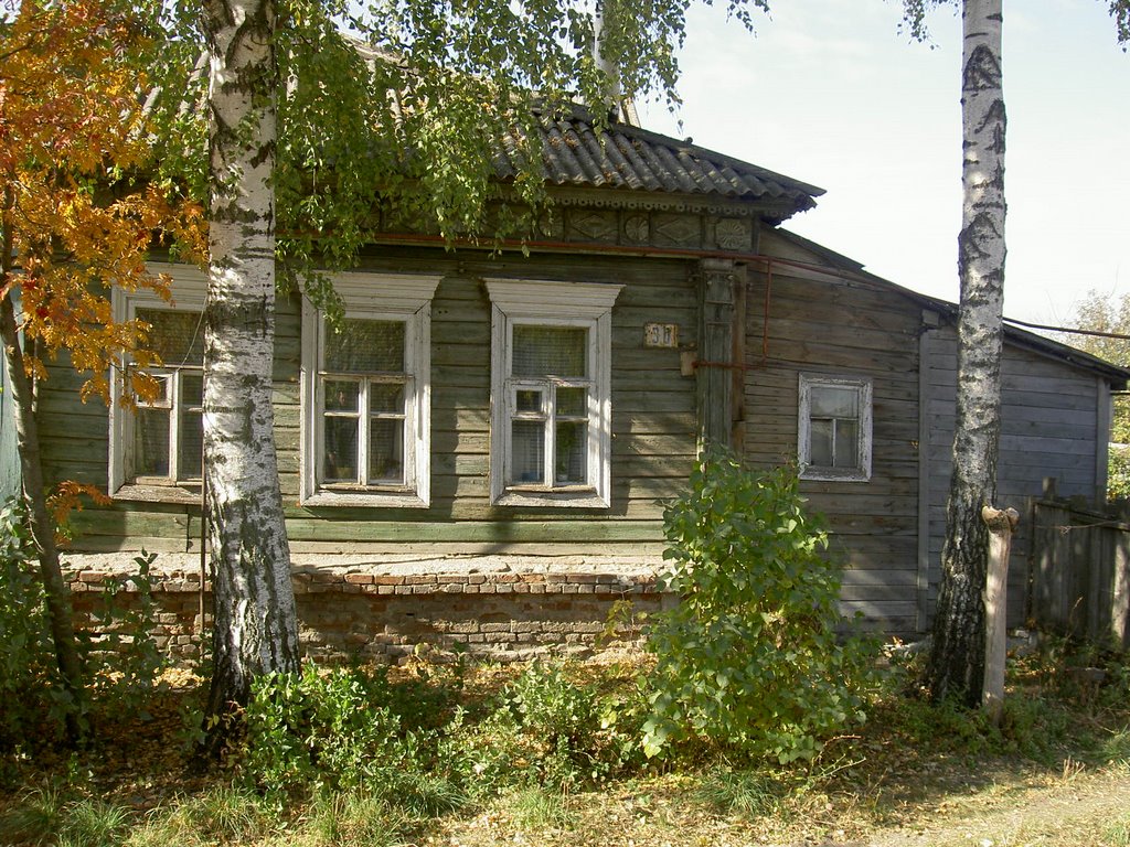 г. Скопин. улица Октябрьская, дом 30. Дом Лариных