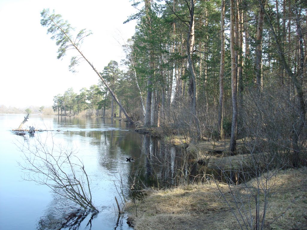 Половодье 2008