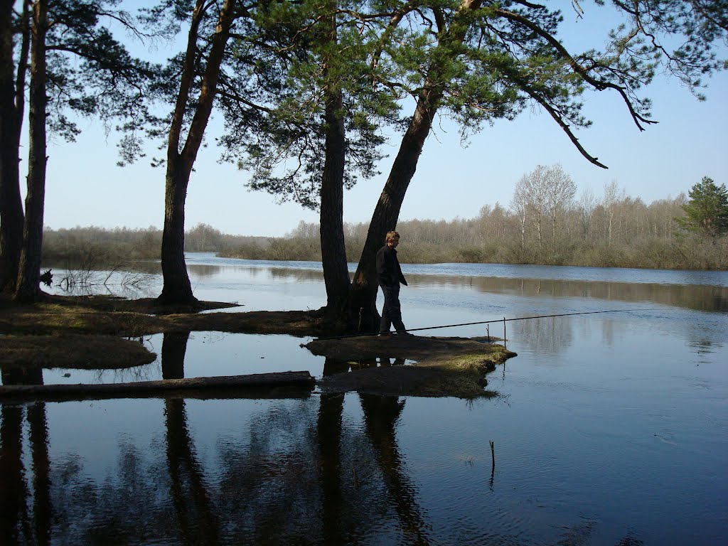 Спас-Клепики. Мещера.