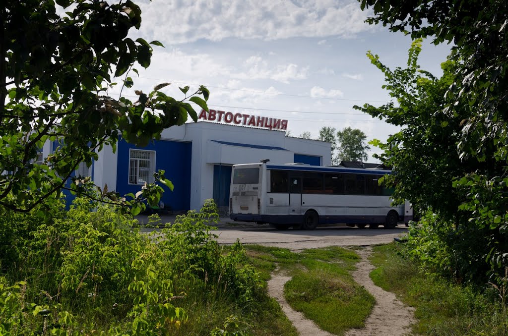 Автостанция Клепики (Пра за ней, 60 метров)