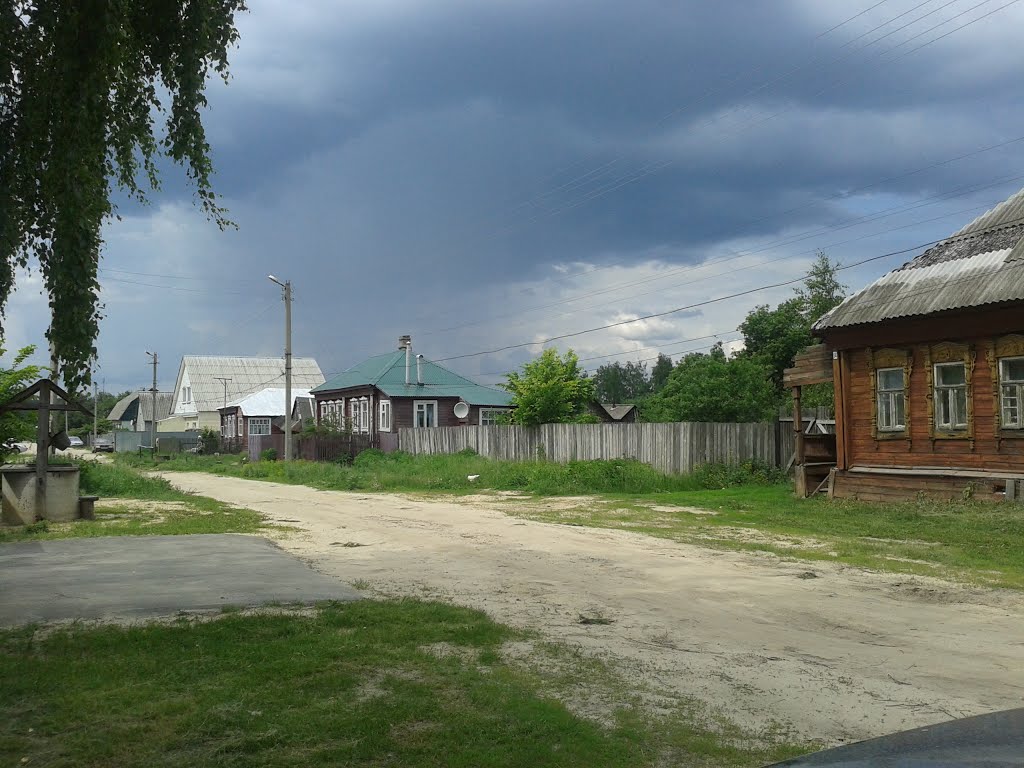 Ряз.обл. Клепиковский р-он д. Сергеево.