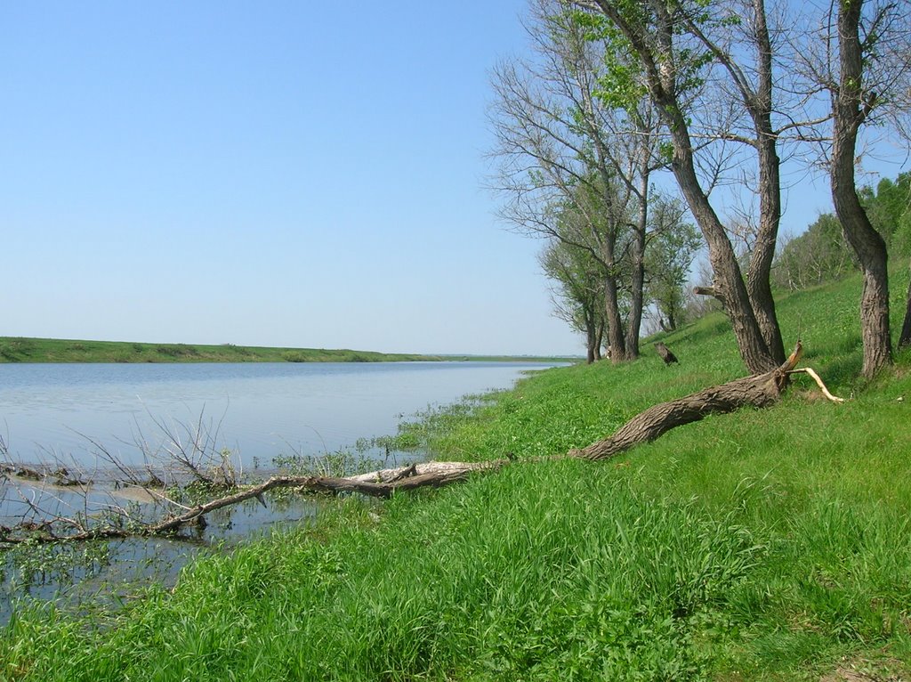 Ozero