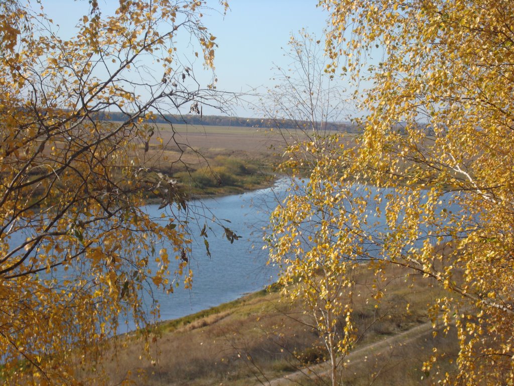 ЛЕВАЯ ВЕТЬ