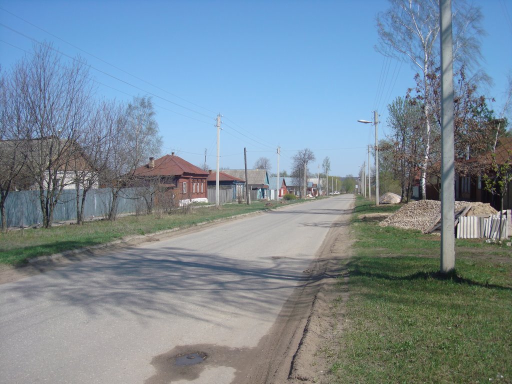 Улица ЛОМАНОСОВА