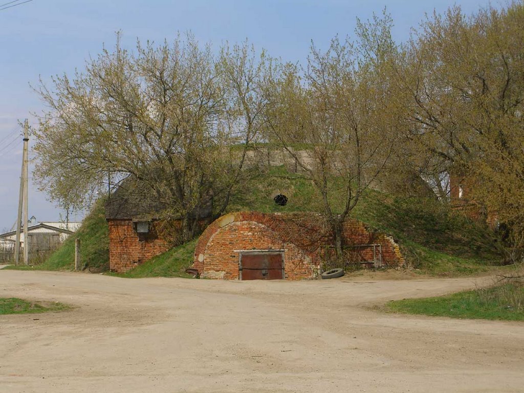 Ледник