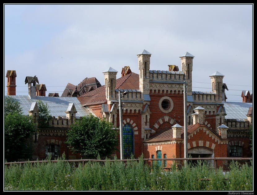Конный завод в Старожилово (лето 2011 года)
