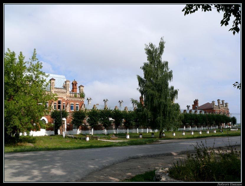 Конный завод в Старожилово (лето 2011 года)