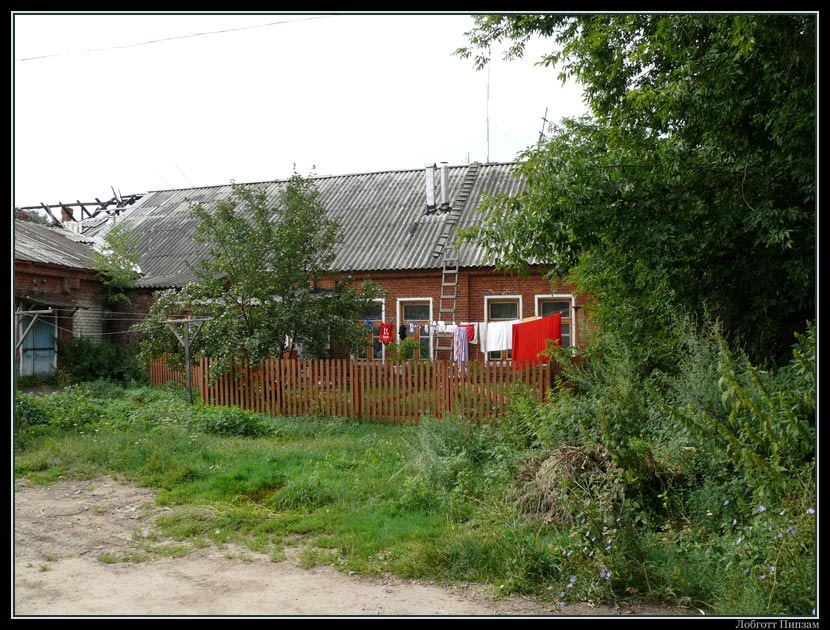 Конный завод в Старожилово (лето 2011 года)