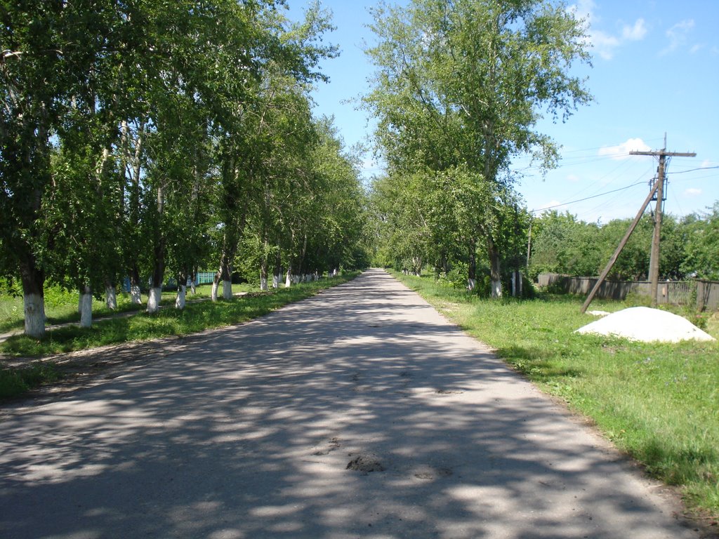 Чучково. Дорога к вокзалу. Лето 2009.