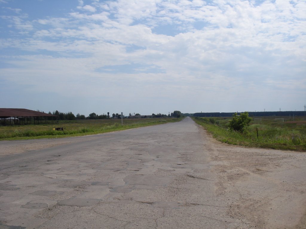 Дорога на городок