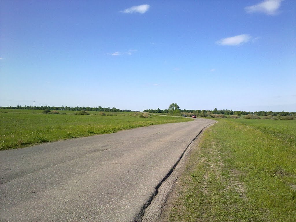 Дорога на Пертово.