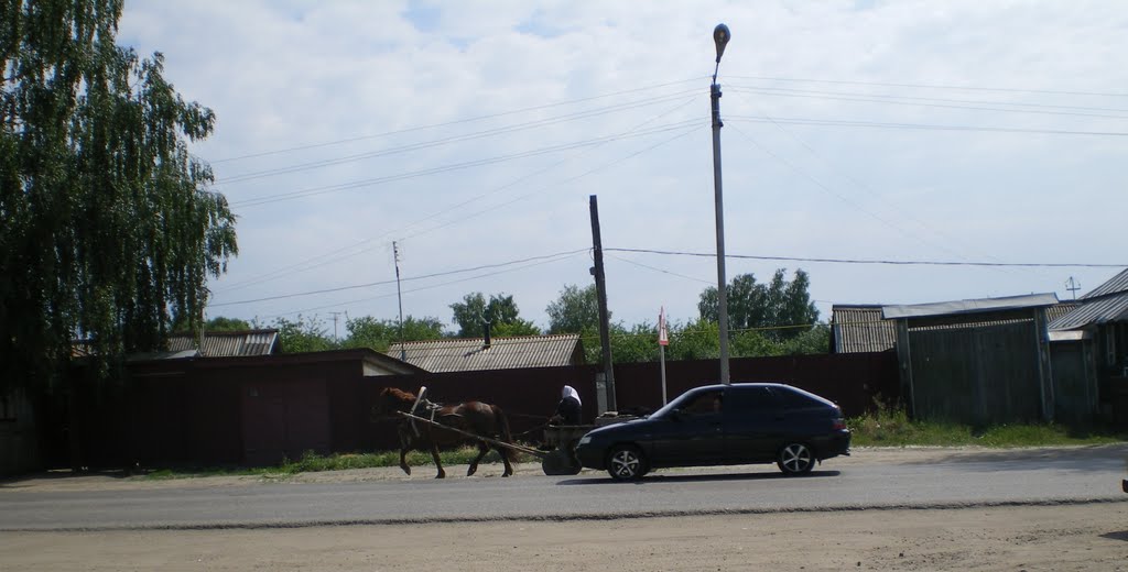 Где-то в Шацке