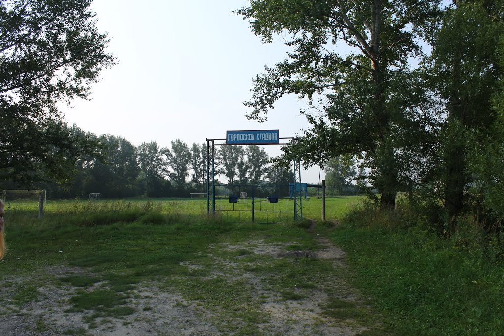 Городской стадион