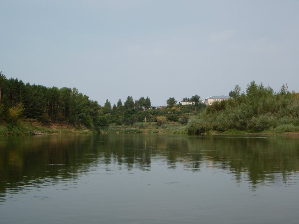 с. Богатое. Вид с Самарки