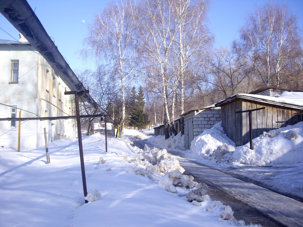 Улица Управленческая Поселок Богатырь