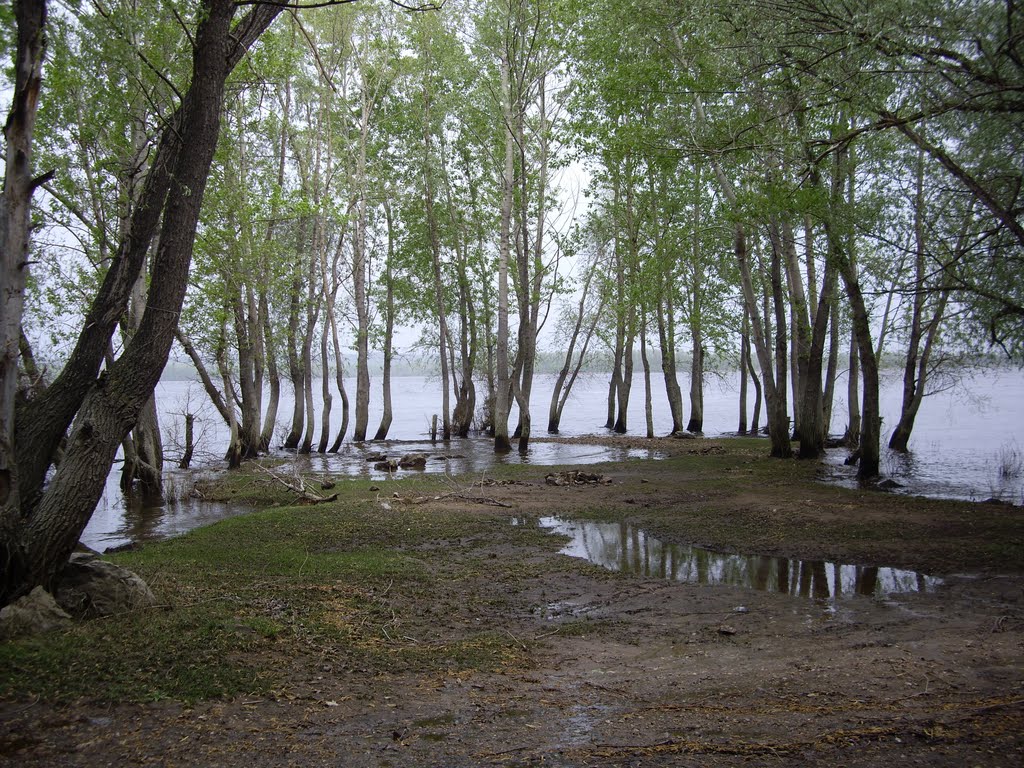 Половодье