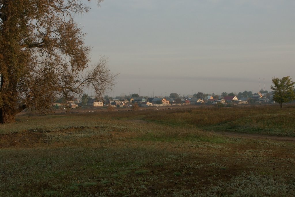 Борское