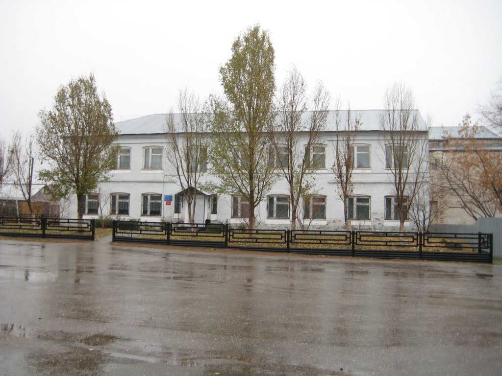 Библиотека