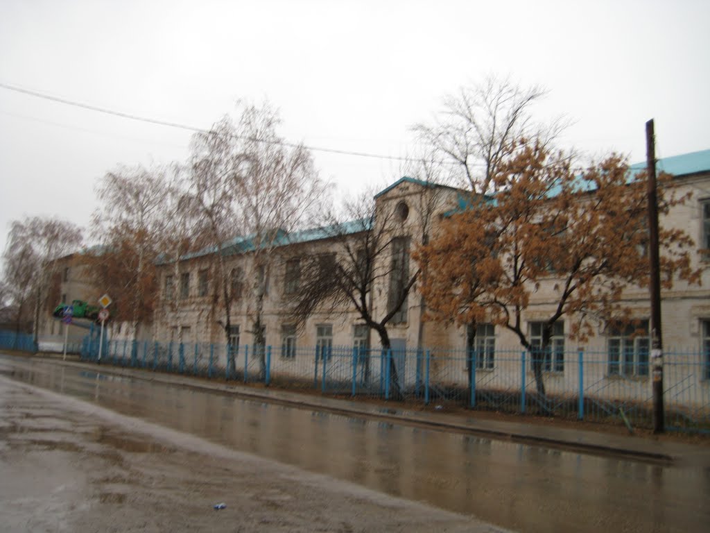 Лицей